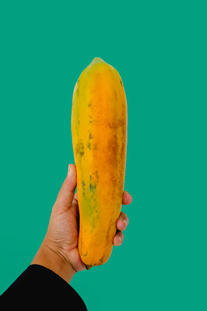 PAPAYA